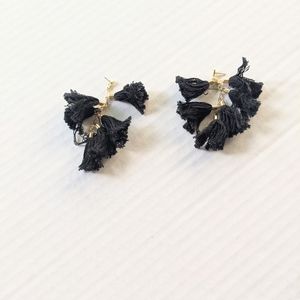 Tassel Drop Earrings